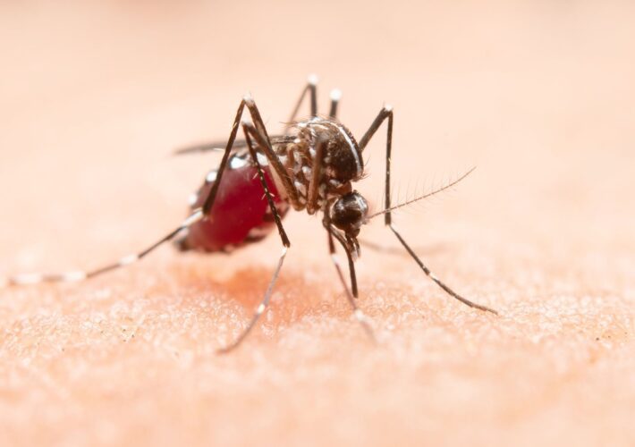 Anápolis forma Gabinete de Combate à Dengue com Parcerias Estratégicas 2 Anápolis forma Gabinete de Combate à Dengue com Parcerias Estratégicas
