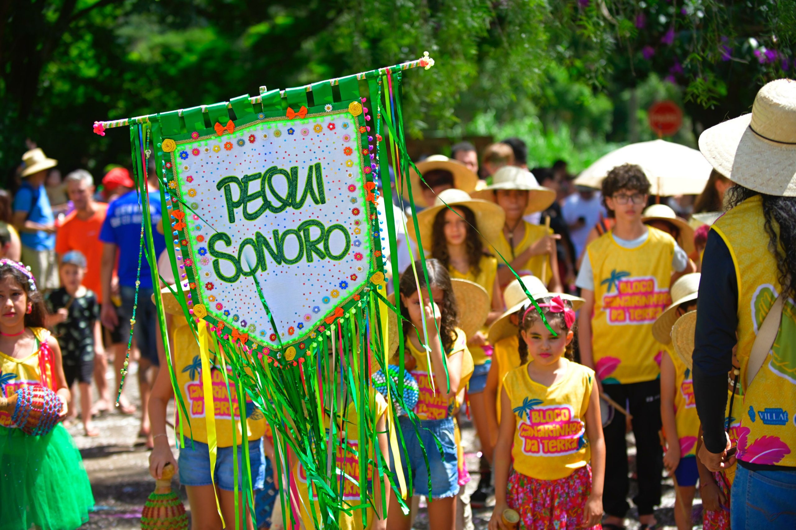 Pirenópolis se prepara para receber turistas no Carnaval 2025 3 Com alto movimento de turistas e população loca, expectativa é de ocupação de 90% a 100% dos hotéis