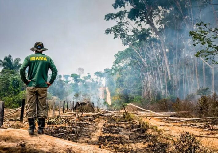 AGU reivindica 76 milhões de reais de infratores por danos ambientais em cinco biomas 4 AGU reivindica 76 milhões de reais de infratores por danos ambientais em cinco biomas