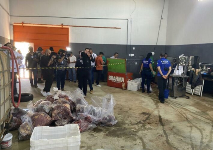 Escândalo em Anápolis: Abatedouro clandestino de Cavalos revela Histórico Criminoso 2 Escândalo em Anápolis: Abatedouro Clandestino de Cavalos Revela Histórico Criminoso
