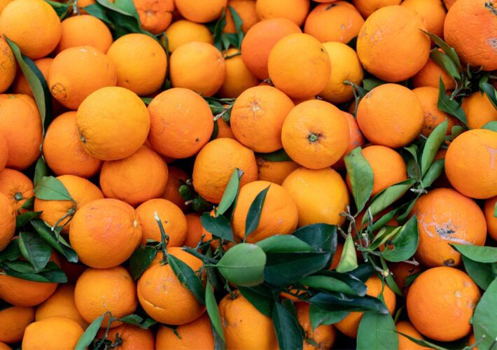 Produtores brasileiros ameaçam deixar Laranjas apodrecerem no pé devido a Tarifas Econômicas 5 Produtores Brasileiros Ameaçam Deixar Laranjas Apodrecerem no Pé Devido a Tarifas Econômicas