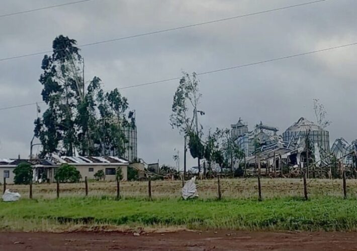 R$ 150 milhões em prejuízos após tornados no Paraná 3 prejuízos tornados Paraná, Rio Bonito do Iguaçu, sindicato rural Paraná, agricultura afetada tornados.