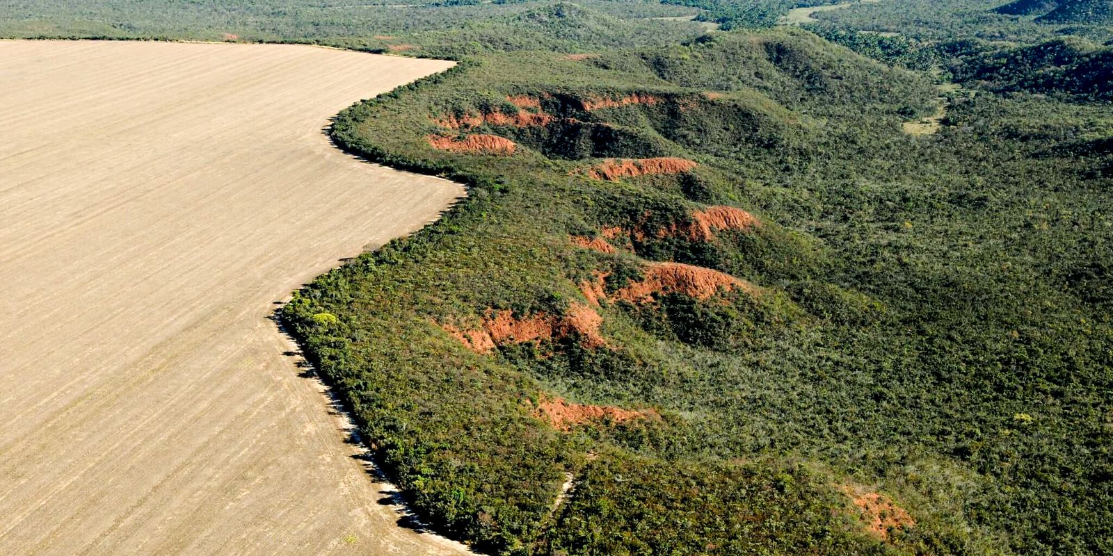 Universidades se unem para preservar o Cerrado 2 preservação do Cerrado